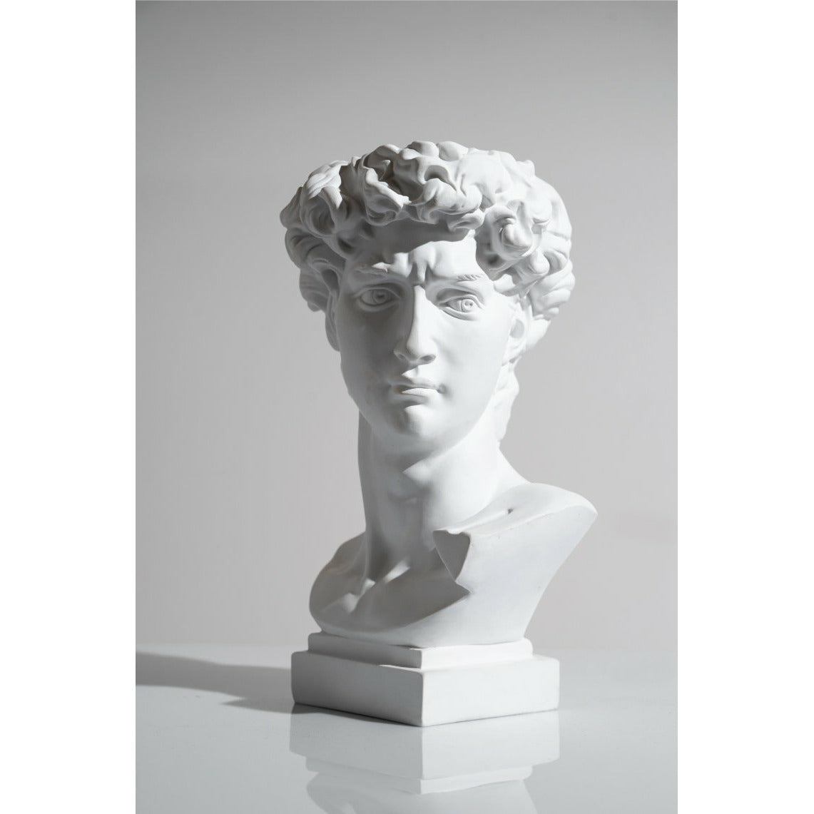 David Head Plant Pot - Our David Head Plant Pot  is a must have piece for any plant lover and is an icon of both Italian and World Art History.